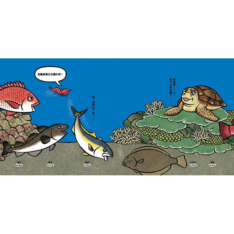 海底在排什麼呢?